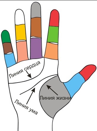 хиромантия в минске